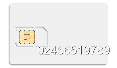 sim 02466519789