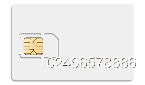 sim 02466578886