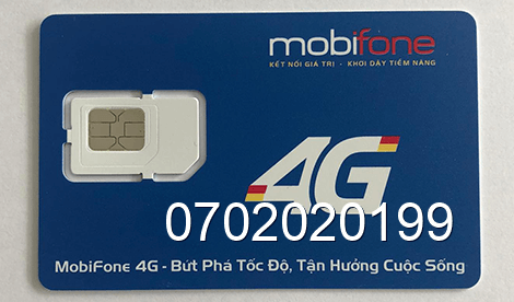 sim 0702020199