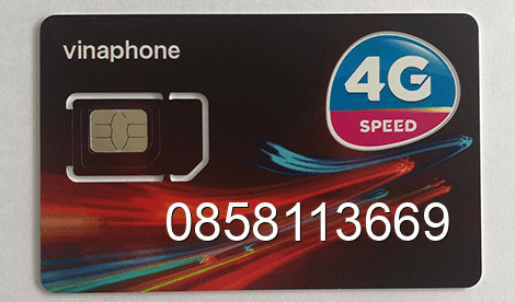 sim 0858113669