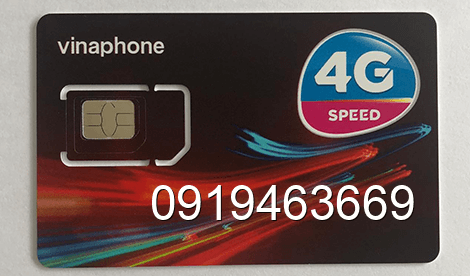 sim 0919463669