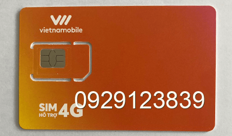sim 0929123839
